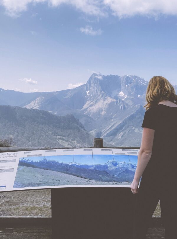 Viewpoint in Ponga Natural Park